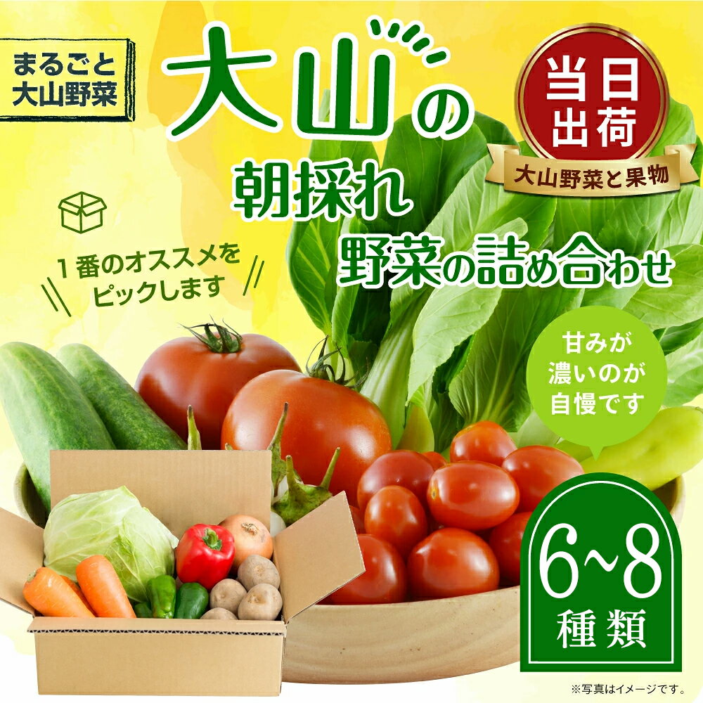 【ふるさと納税】MS-01 新鮮朝採れ野菜 お手頃セット 鳥取県 鳥取県産 大山町 大山 サラダ 常温保存 くだもの やさい 6種類以上