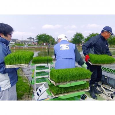 ふるさと納税 三条市 [定期便5kg×3か月] 新之助人生応援米 令和7年産 5kg 計15kg 新之助【035S013】 |  | 01
