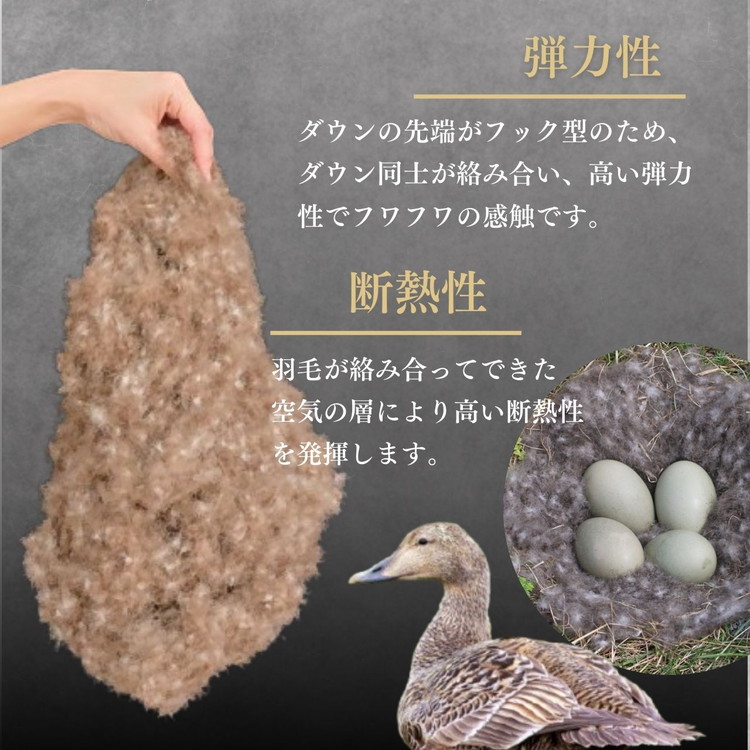 ＜京都金桝＞羽毛布団 クイーン 極暖 アイダーダウン ポーランドマザーグース95% ボリューム 特殊トリプルエアーキルト 日本製 ピンク／ブルー 冬用 布団 京都亀岡産 キャピタル トリプル
