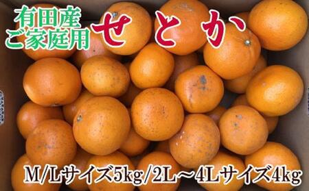 (訳あり・ご家庭用)一度は食べていただきたい「有田産のせとか」約4kg～5kg★2026年２月中旬頃より順次発送［TM210］