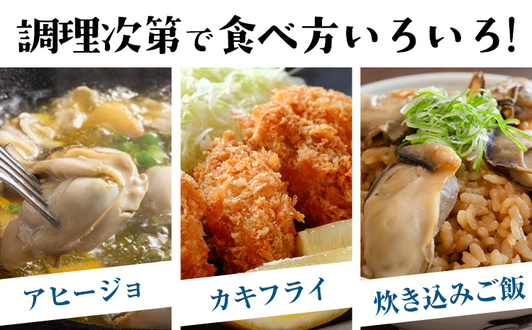 天領岩牡蠣 約2.5kg 2回 定期便 福島水産《2026年5月から出荷》熊本県 苓北町 牡蠣 かき カキ 岩カキ 岩ガキ 貝 BIG ビッグ 生食 バーベキュー 夏天草 天領 苓北 熊本 旬 シーズ