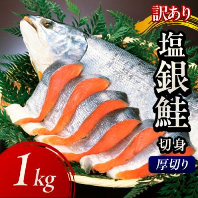 ふるさと納税 京丹後市 【訳あり・不揃い】お手軽!絶品!厚切り 塩銀鮭切身 (プロトン凍結)約1kg　肉厚なさけの切身
