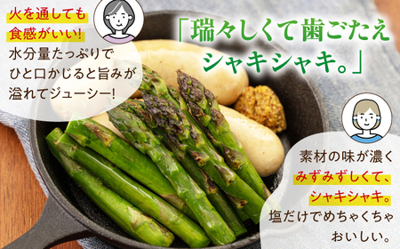 【2025年4月以降順次発送】 グリーンアスパラガス 1kg （S/露地栽培）《喜茂別町》【久保田農園】 アスパラ アスパラガス グリーンアスパラ 冷蔵 冷蔵配送 野菜 春野菜[AJAM009]