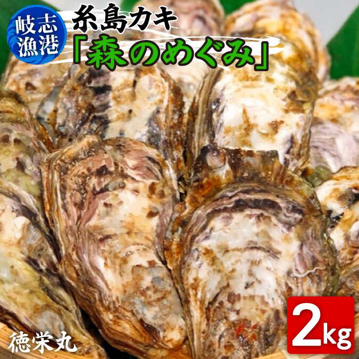 【ふるさと納税】【日時指定可】糸島カキ 2kg 福岡県糸島市岐志漁港 糸島市 / 徳栄丸 [APD003] 12000円 生牡蠣 貝 魚介　カキ カキフライ 糸島産 アヒージョ　海鮮