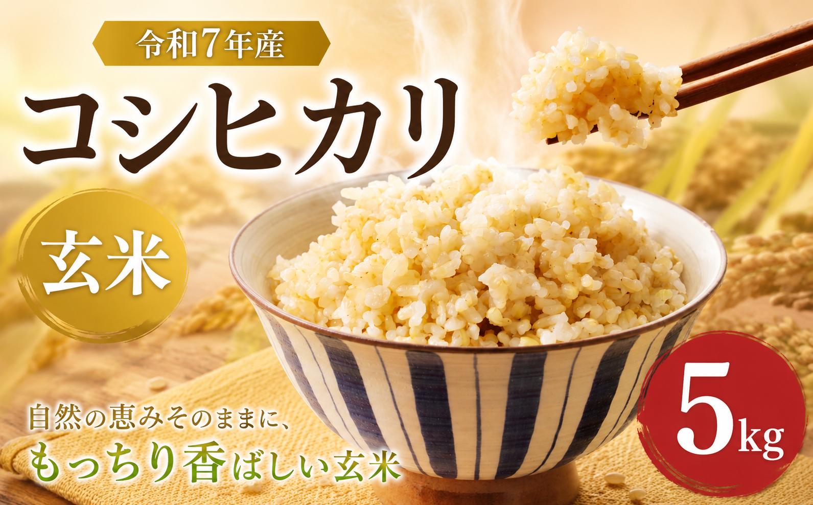 
                  令和7年産 コシヒカリ 玄米 5kg 玄米 げんまい ゲンマイ genmai お米 米 こめ ※ okome kome こしひかり 国産 おむすび おにぎり 弁当 美味しい グルメ 飯 ごはん ご飯 朝食 贈答 贈り物 お取り寄せ ギフト 千葉県 香取市 TBK001
                