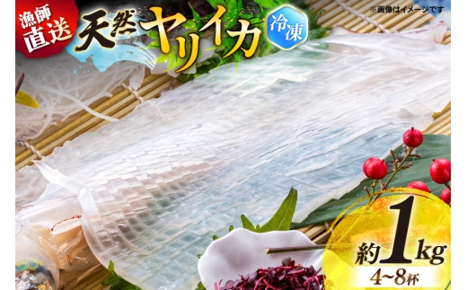 イカ 極上 ヤリイカ 天然 約1kg (4～8杯) [ひばり 長崎県 平戸市 hr42bgy420530] 冷凍 漁師直送 いか 魚介 海産物 急速冷凍 刺身 刺し身 イカ丼 天ぷら 煮つけ 炒め物 新鮮 国産 お取り寄せ グルメ おつまみ 酒の肴 簡単調理 産地直送 ギフト 贈り物
