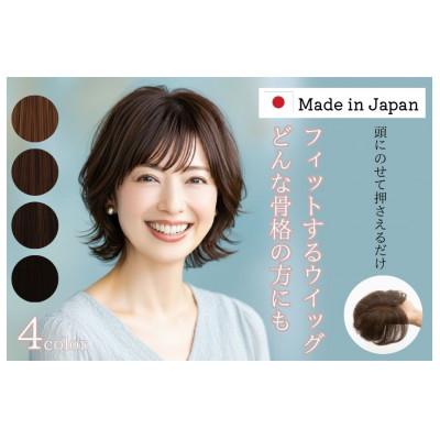 ふるさと納税 広陵町 広陵町産ウイッグ  (ナチュラルブラック) |  | 01