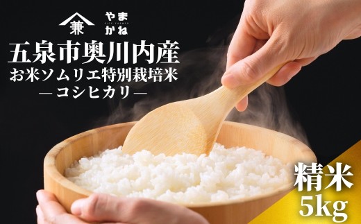 【令和8年産 コシヒカリ 先行予約】コシヒカリ 5kg(5kg×1袋) 五泉市奥川内産 お米ソムリエ 特別栽培米 | 新潟産コシヒカリ 新潟県産コシヒカリ 新潟県産こしひかり 米 お米 こしひかり 白米 精米 ブランド米 新潟県 五泉市 ライスファーマーやまかね