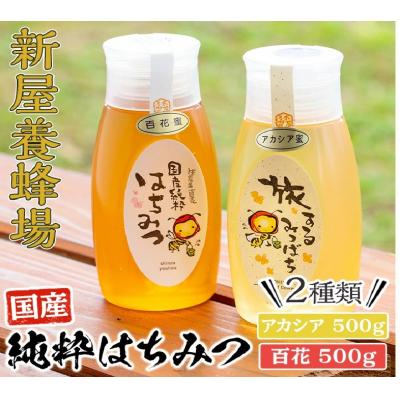 ふるさと納税 曽於市 今年のイチオシはちみつ2本セット(アカシア・百花)