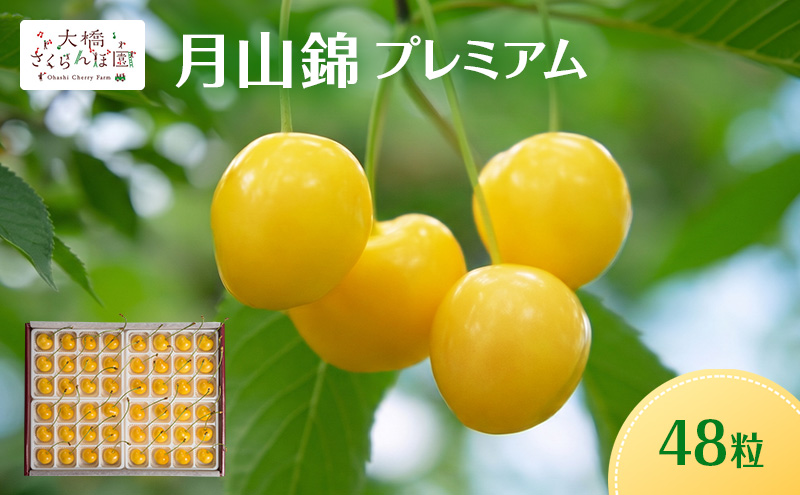 【先行予約】さくらんぼ 月山錦 プレミアム 48粒 最高級 特