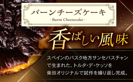 チーズケーキ バーンチーズケーキ 多治見市 / シェ・シバタ 濃厚 スイーツ ギフト[TDH007]