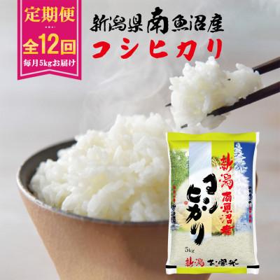 ふるさと納税 南魚沼市 【毎月定期便】南魚沼産コシヒカリ 5kg全12回