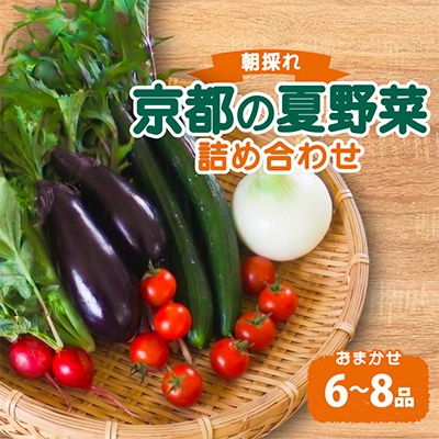 
                  夏野菜 6～8種 セット　京都府久御山町【1623427】
                