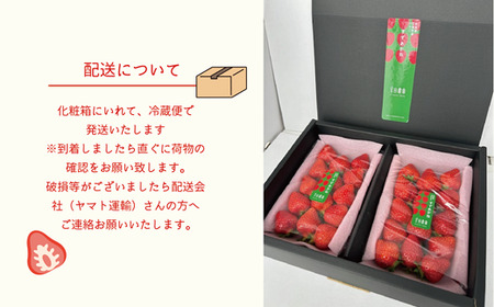 ＜すずあかね 2パックセット＞宮田農園こだわりの夏いちご！ 北海道 夏いちご すずあかね 甘酸っぱい