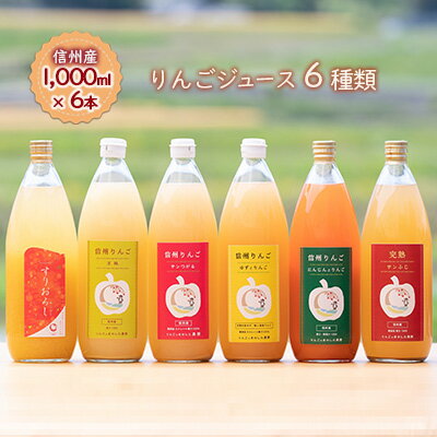 【ふるさと納税】【信州産】りんごの個性にびっくり！ジュース6種セット（1,000ml×6本） 果実飲料 ミックスジュース りんごジュース 飲み比べ サンつがる サンふじ 王林 ゆず 人参
