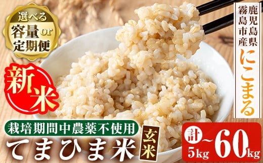 
            K-391 ＜容量・定期便が選べる＞＜令和7年産新米 先行予約受付中！2025年12月以降順次発送予定＞てまひま米・玄米(品種:にこまる)(計5kg・計10kg・計20kg・3回定期便・6回定期便・12回定期便)【末蜜農園】霧島市 お米 玄米 米 こめ コメ ご飯 ごはん 定期便 栽培期間中農薬不使用
          