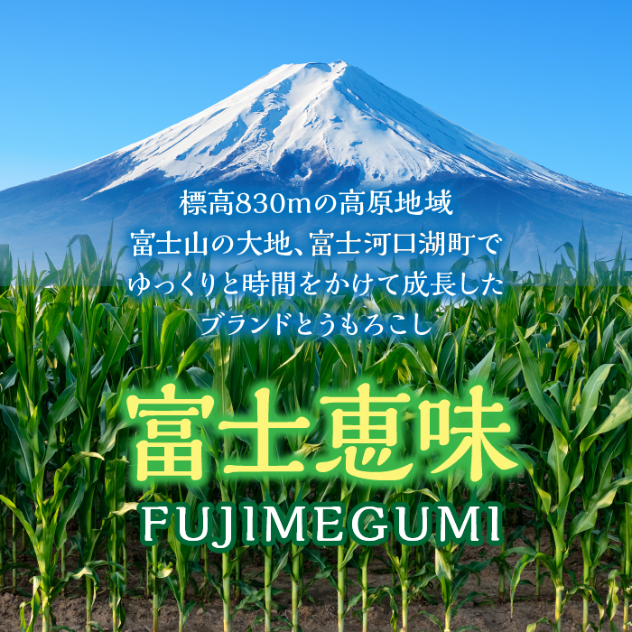 【2024年7月中旬より発送】【数量限定】【期間限定】メロンより甘い！生で美味しいとうもろこし富士恵味１０本セット FAH003