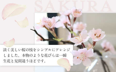 新春　淡雪桜　さくら　魔法の水　マジカルウォーター『薄紅』