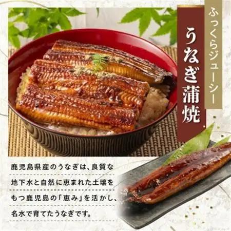 かごしま黒豚しゃぶしゃぶ用4パック・鹿児島県産ウナギ2尾の贅沢セット【配送不可地域：離島】【1185951】