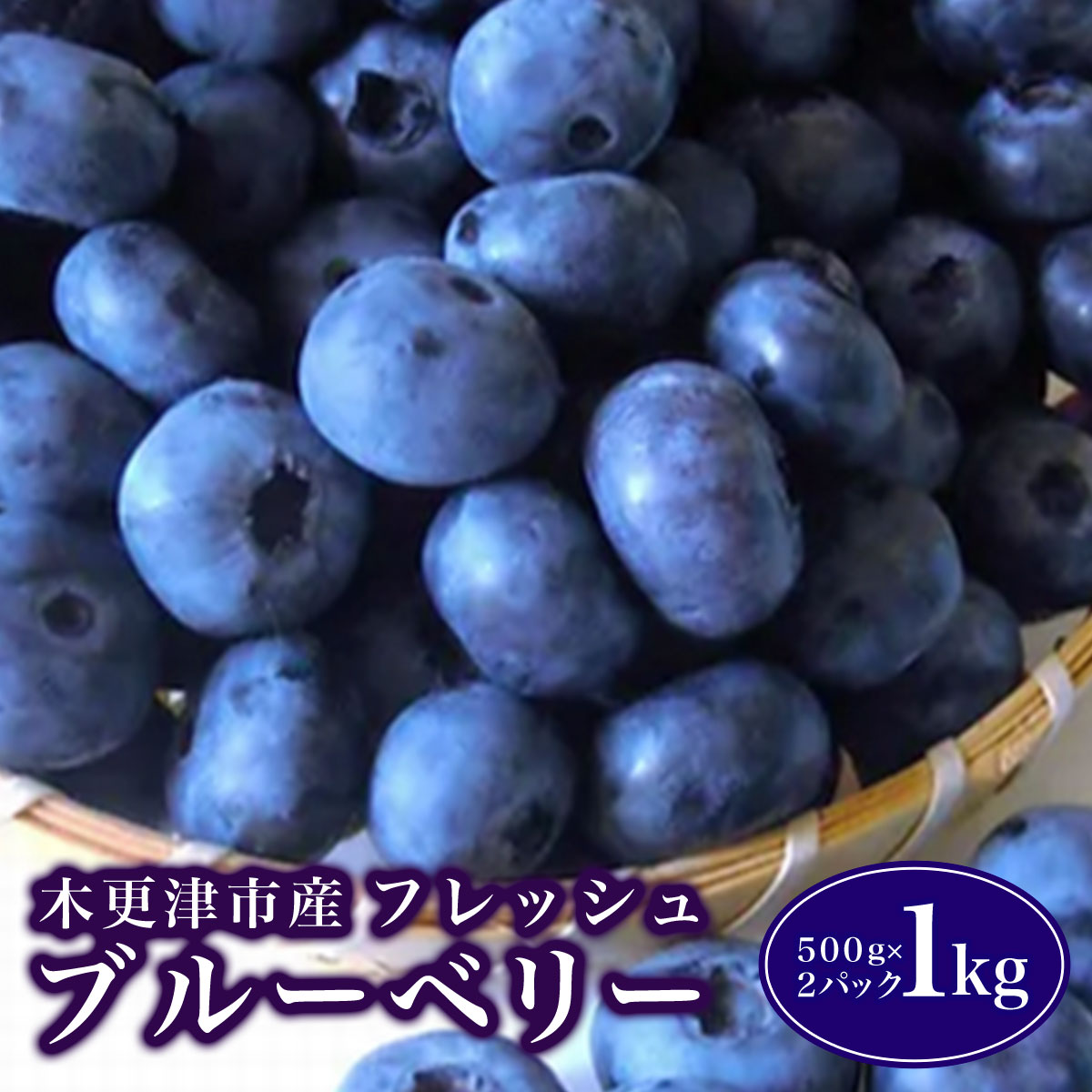 【ふるさと納税】 木更津市産　フレッシュ　ブルーベリー　1kg（500g×2パック）ふるさと納税 ブルーベリー フレッシュ 期間限定 木更津 千葉県 送料無料 KCA001