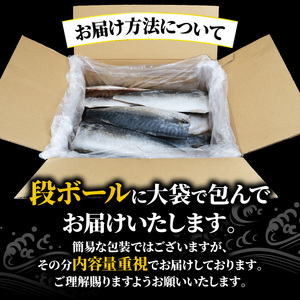 訳あり さば 塩鯖約3kg規格外 サバ 旭市