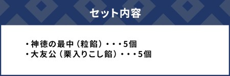 最中の詰合せ 10個入り 和菓子 茶菓子 もなか お中元 お歳暮 ギフト お供物 大分県産 九州産 津久見市 国産【tsu000502】