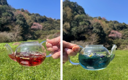 香り奏でる 彩ハーブティー2種セット　自然栽培ハーブ　ノンカフェイン　デトックス　癒し