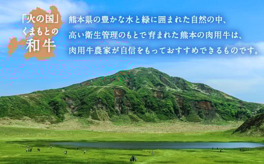 熊本県産 黒毛和牛 ロース 焼肉用 400g 国産 牛肉 焼き肉