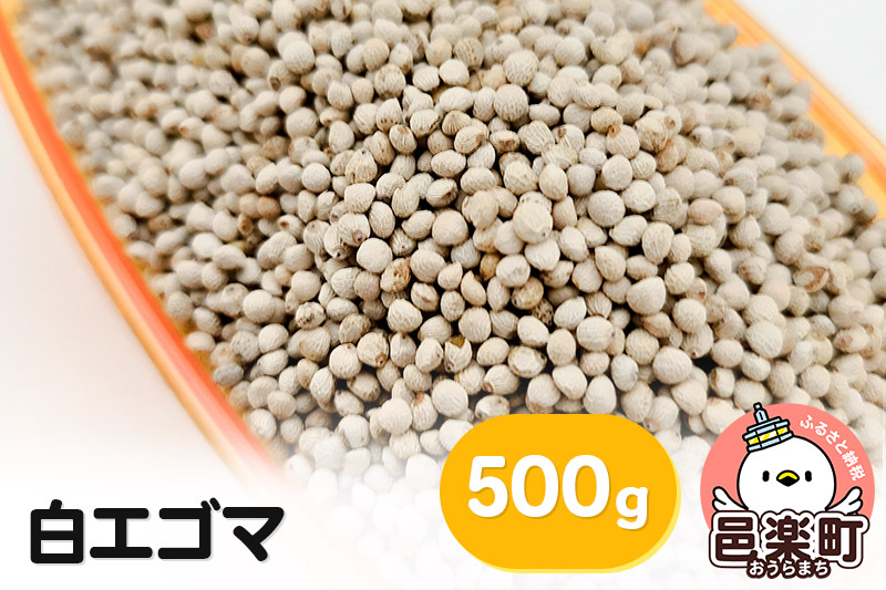 
白エゴマ 500g×1袋 サイトウ・コーポレーション 飼料
