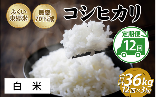 【先行予約】【定期便12ヶ月連続】令和7年産 ふくい東郷米 特別栽培米 農薬70％減 コシヒカリ 3kg×12ヶ月 合計36kg【白米】[H-020011_01]