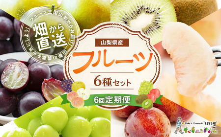 【先行受付】【6回定期便】 フルーツ王国 山梨県産 6種セット ／ えべし フルーツ 果物 くだもの 貴陽 すもも もも 桃 梨 なし ぶどう ブドウ 葡萄 シャインマスカット キウイ 新鮮 果実 産地直送 山梨県 中央市 【2026年6月中旬-2027年1月下旬発送予定】