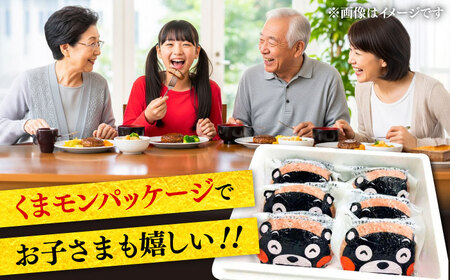 全6回定期便 くまモン ハンバーグ セット（あか牛100％使用） ハンバーグ BHAS058 ハンバーグ