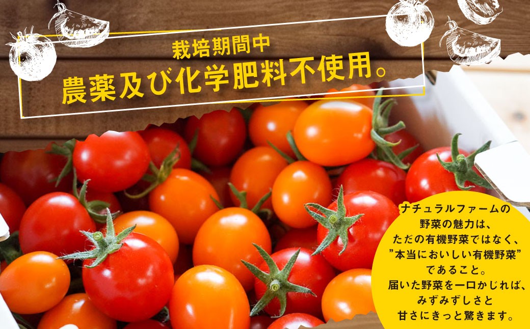 有機JAS認定 「きたいろトマト」 1.2kg×2箱 （2.4kg）