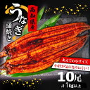 【ふるさと納税】 高知県産 養殖 うなぎ 蒲焼 100g～120g×10尾 セット タレ付き 贈答 養殖 肉厚 鰻 土用丑の日 敬老の日 高知県 須崎市