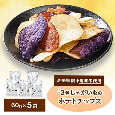 【ふるさと納税】3色ポテトチップス　5袋入り　栽培期間中農薬を使わず自家栽培したじゃがいも使用の自然色のスナック【1550983】