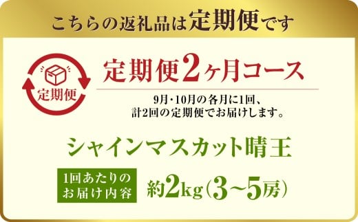 【定期便 全2回／2026年9・10月発送】 岡山県産シャインマスカット 晴王 約2kg（3～5房）｜2回定期便 9月10月に1回づつ発送 種無し 皮ごと食べる 旬の美味しさ フレッシュ 先行予約 ハ
