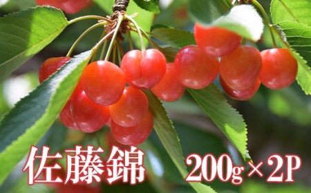 No.2282ヤマ考紺野果樹園 さくらんぼ 佐藤錦 200g×2パック【2025年発送】