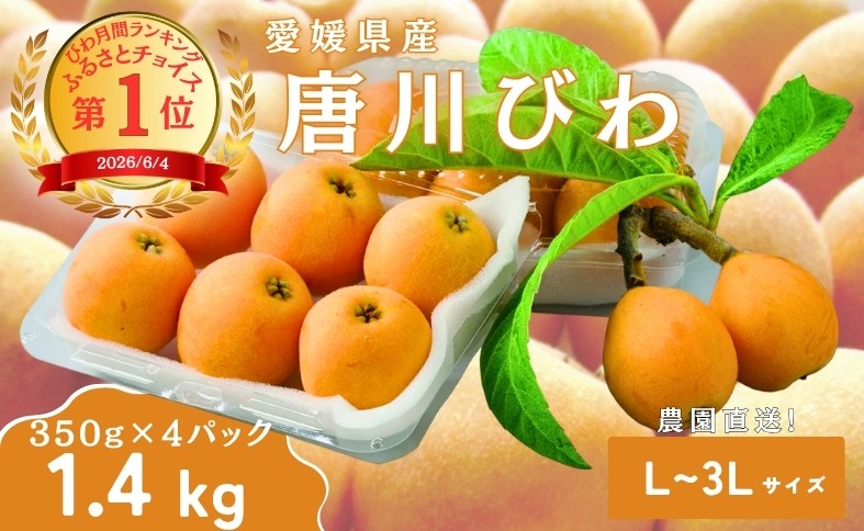 
                  びわ 唐川びわ 約1.4kg (350g×4パック) L～3Lサイズ 農園直送 愛媛 伊予市｜B126
                