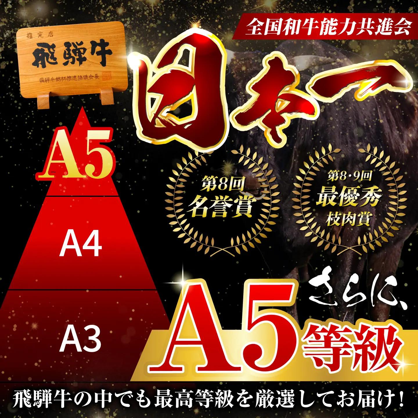 【12回定期便】飛騨牛 サーロイン(ステーキ用)800g(200g×4枚)飛騨牛 国産 肩ロース ロース ステーキ 黒毛和牛 和牛 牛肉 BBQ steak 岐阜県 / 御嵩町 / 馬力家[AVBO1