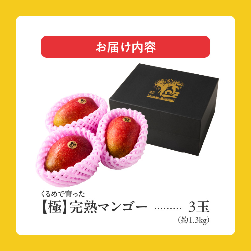 【2026年6月以降お届け】極　完熟マンゴー（3玉：約1.3kg）_完熟マンゴー 3玉 約 1.3kg 久留米産 平均糖度 17度～18度 完熟 マンゴー 国産 フルーツ トロピカルフルーツ 果物 デ