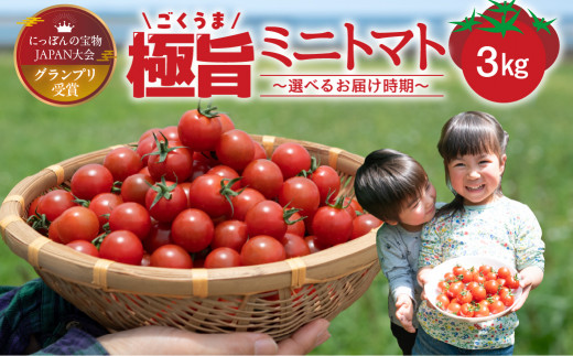 グランプリ受賞 完熟 出汁推し実 ミニトマト 3kg 