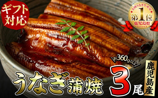 
【ギフト対応】鹿児島県大隅産くすだ屋の極上うなぎ3尾(計360g以上/120g×3) a6-042
