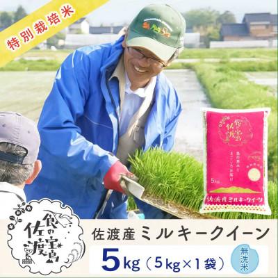 ふるさと納税 佐渡市 佐渡島産ミルキークイーン 無洗米5Kg 令和7年産 特別栽培米