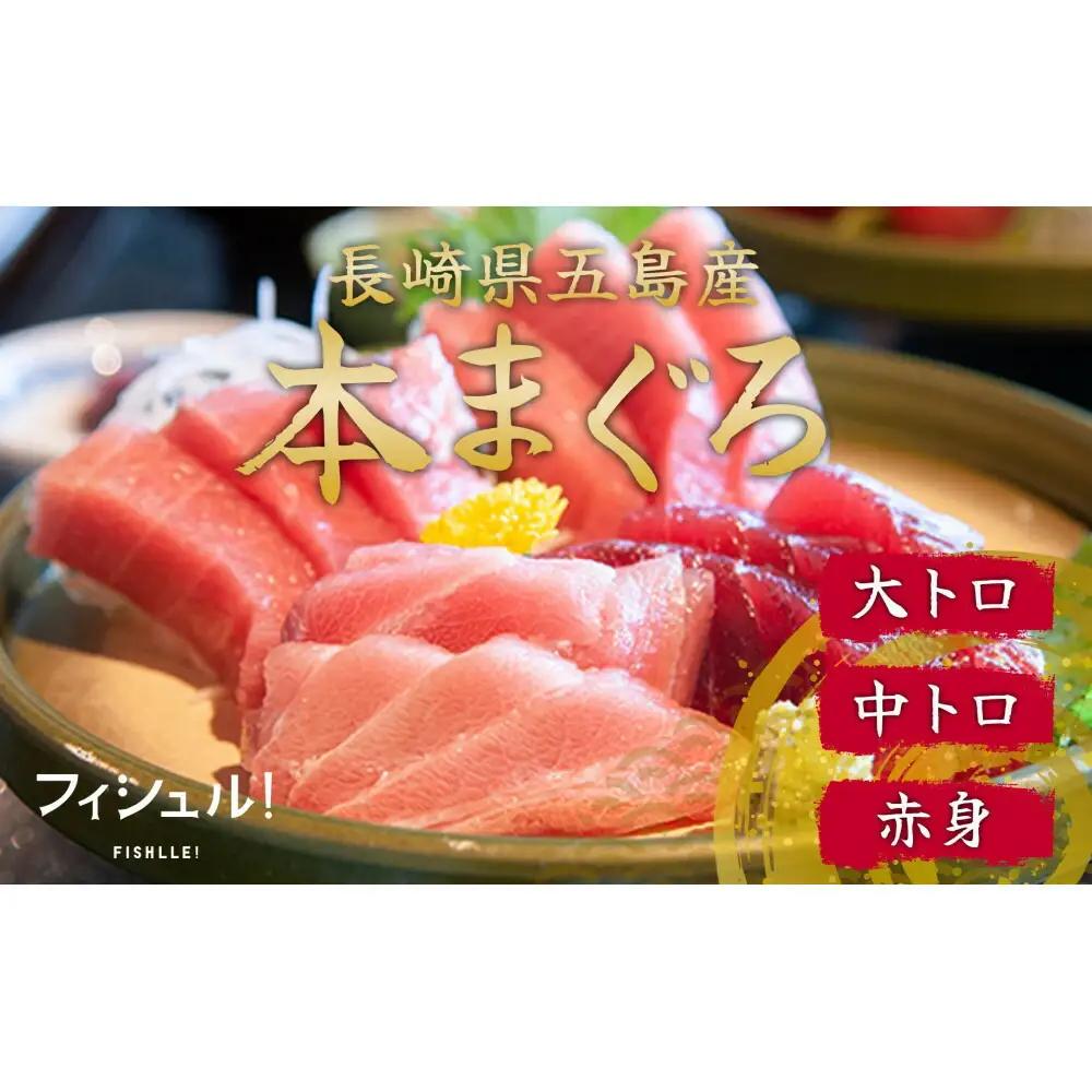 マグロづくし セット フィシュル ! 赤身 5枚 中トロ 3枚 大トロ 2枚 各50g×3P 詰め合わせ 刺身 お刺身 海鮮 魚 魚介 海の幸 おつくり 本マグロ 鮪 海鮮セット 海鮮丼 国産 九州 