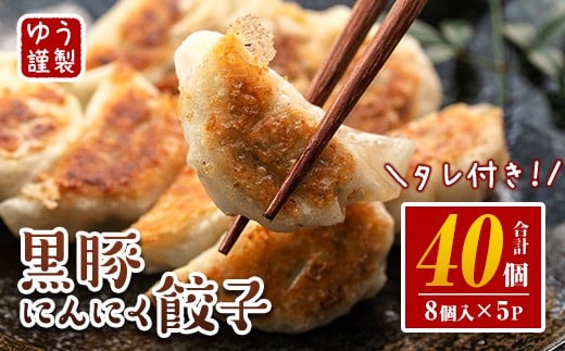 ＜2021年10月発送分(10月中に発送)＞手づくり黒豚にんにく餃子(計60個・10個入り×6P)