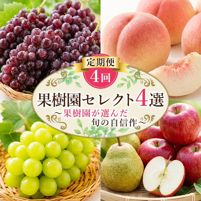【定期便4回】果樹園セレクト４選 果樹園が選んだ、旬の自信作 FY26-183