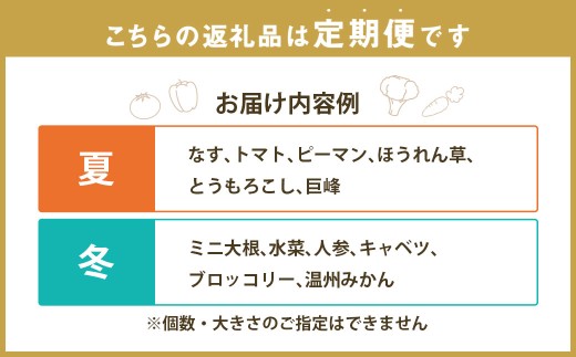 定番の野菜フルーツセット