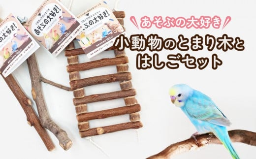 あそぶの大好き　小動物のとまり木とはしごセット｜ペット用品 天然木使用 小動物用 国産クラフト 職人手作り 人気 おすすめ インコ インテリアケージ ストレス解消 運動不足対策 ギフト プレゼント 送料無料 長野県 大町市 ふるさと納税