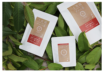 国産有機栽培グァバ葉100％使用 土佐國グァバ茶（2g×10包）