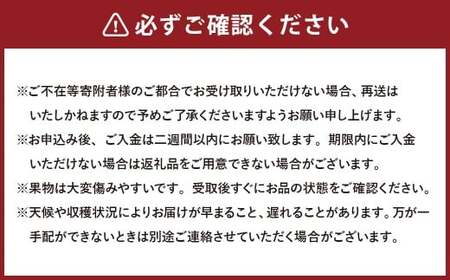 【3回定期便】岡山県産 フルーツ定期便コース （白桃 ・ シャインマスカット 晴王 ・ あたご梨）【2026年7月上旬発送開始】 ／ 3回 桃 もも マスカット 葡萄 ぶどう 梨 なし 果物 果実 フ